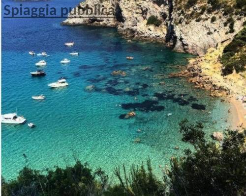 Ampio Monolocale Con Balcone Fronte Mare Holiday home *